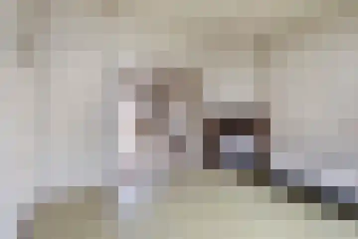 Johan Vestersstraat 27 Eindhoven thumbnail 7