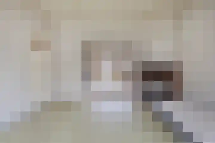 Johan Vestersstraat 27 Eindhoven thumbnail 8