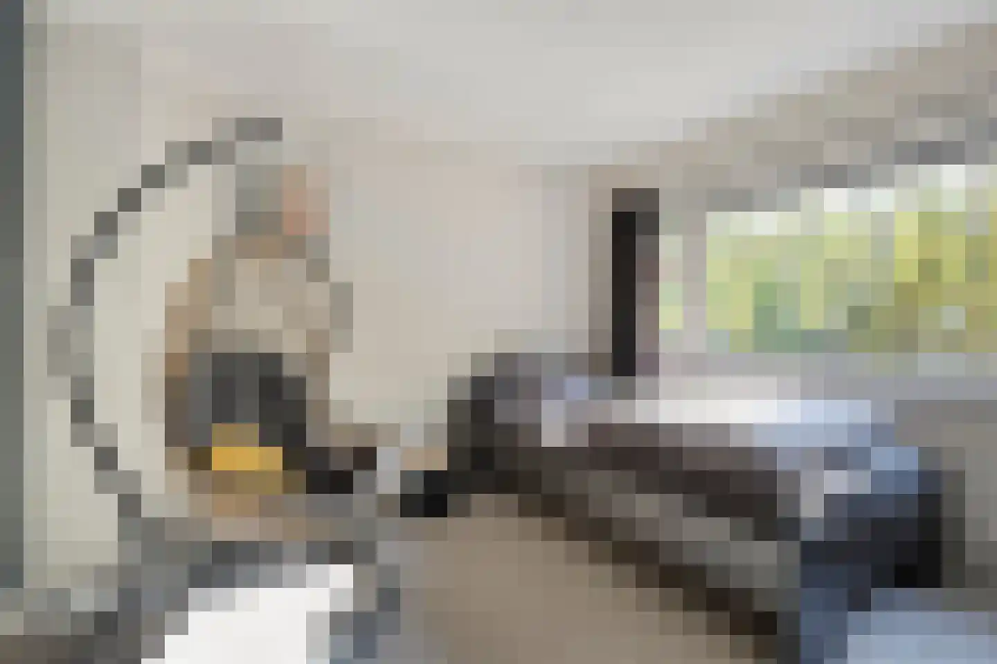 Johan Vestersstraat 44 Eindhoven thumbnail 17