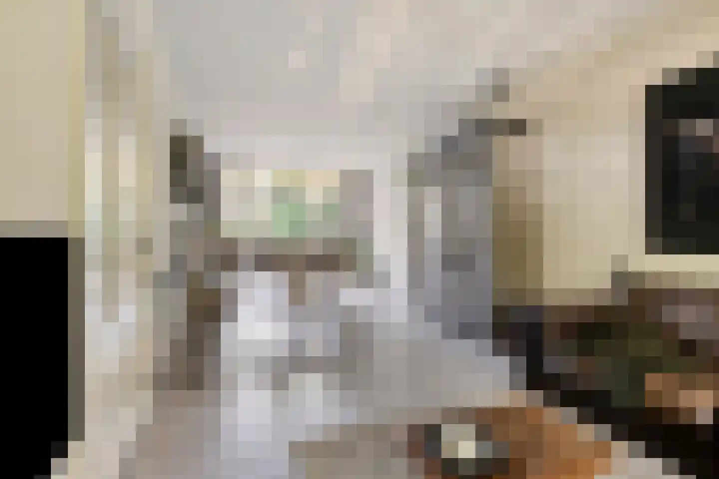 Johan Vestersstraat 44 Eindhoven thumbnail 4