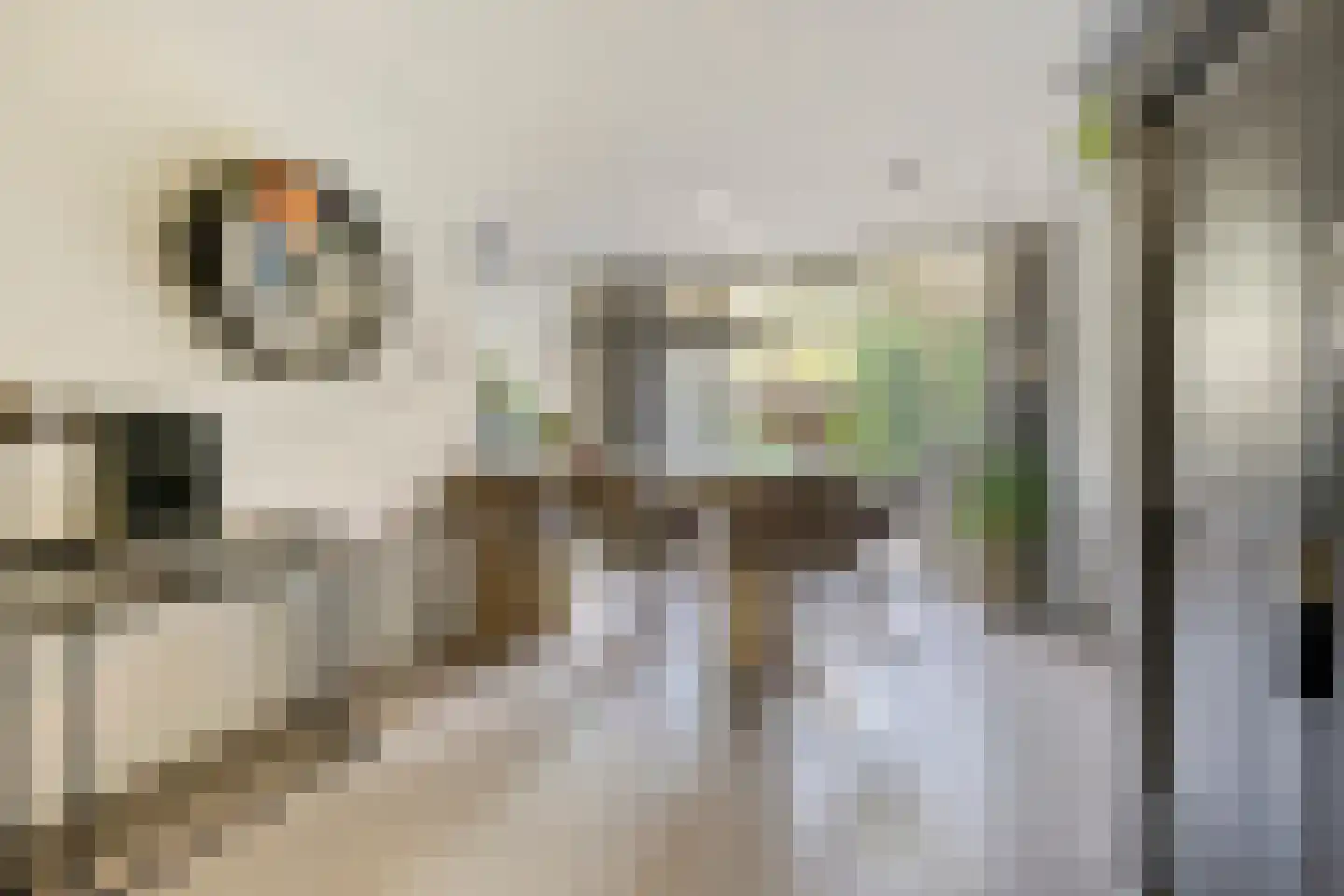 Johan Vestersstraat 44 Eindhoven thumbnail 5