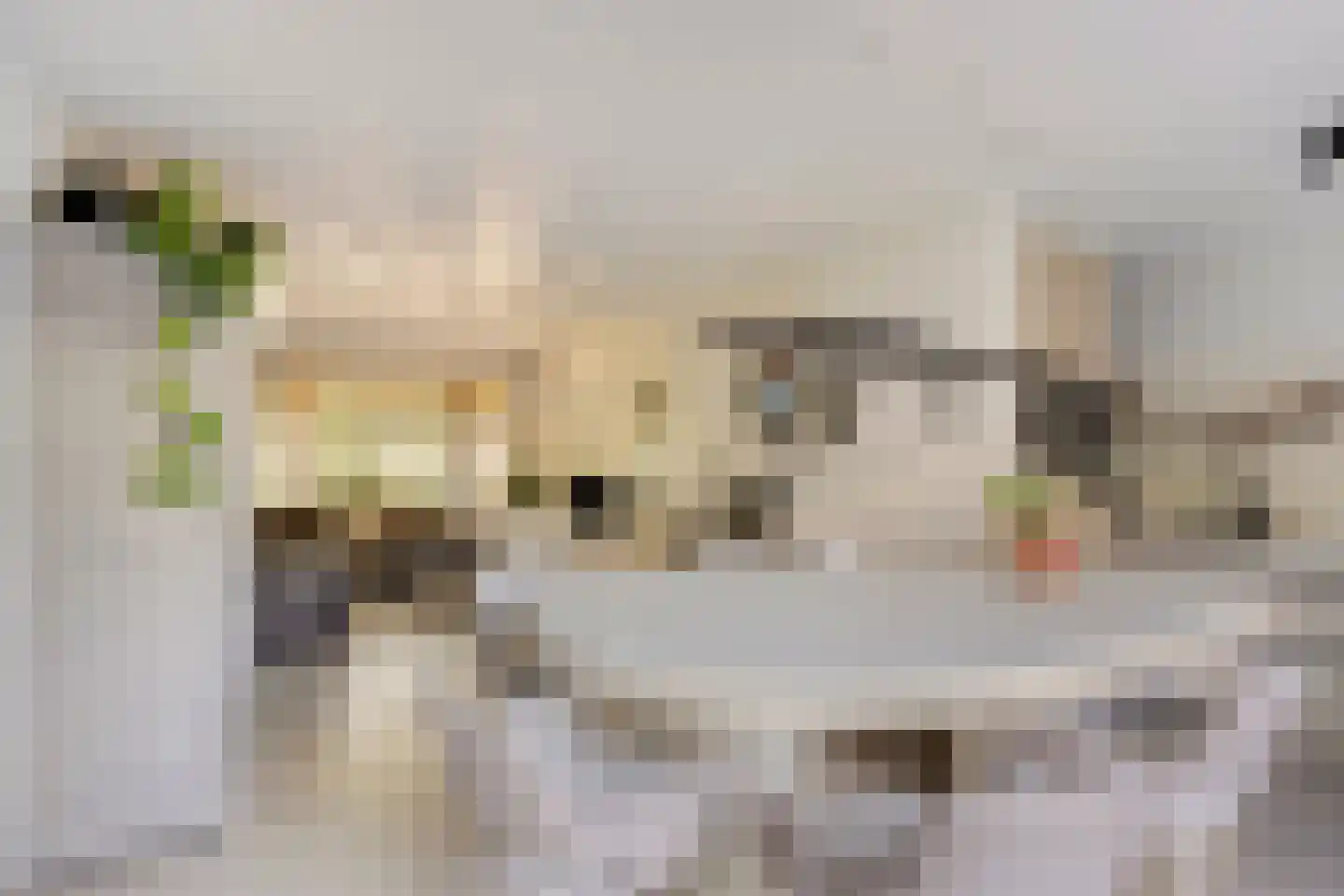 Johan Vestersstraat 44 Eindhoven thumbnail 6