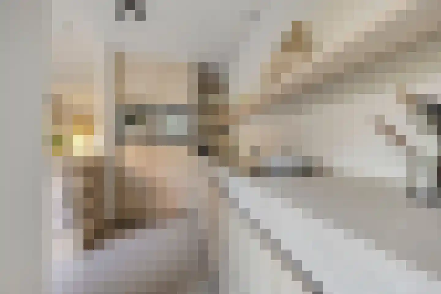 Johan Vestersstraat 44 Eindhoven thumbnail 7