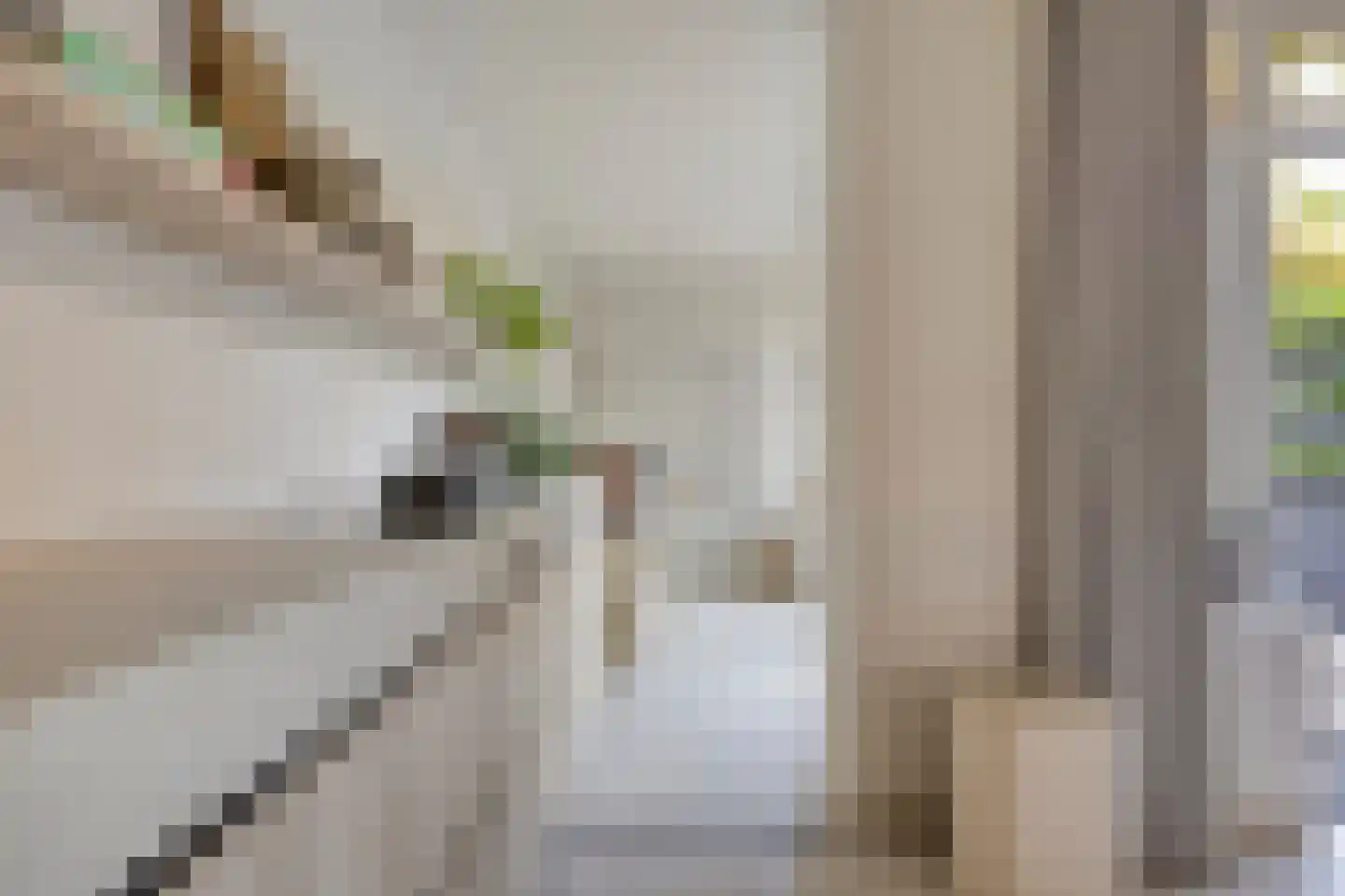 Johan Vestersstraat 44 Eindhoven thumbnail 8