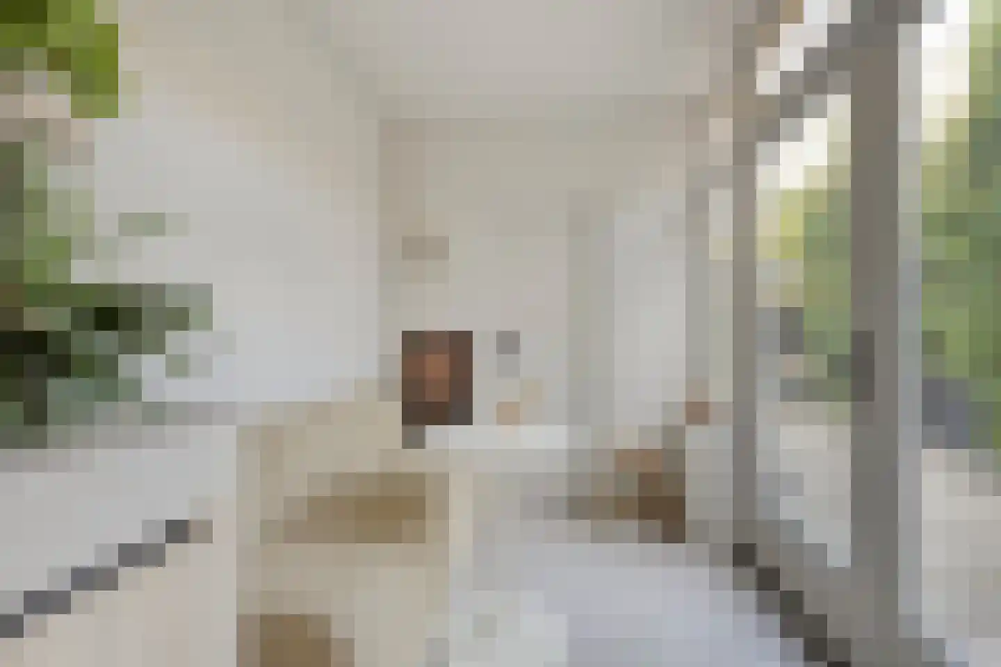 Johan Vestersstraat 44 Eindhoven thumbnail 9