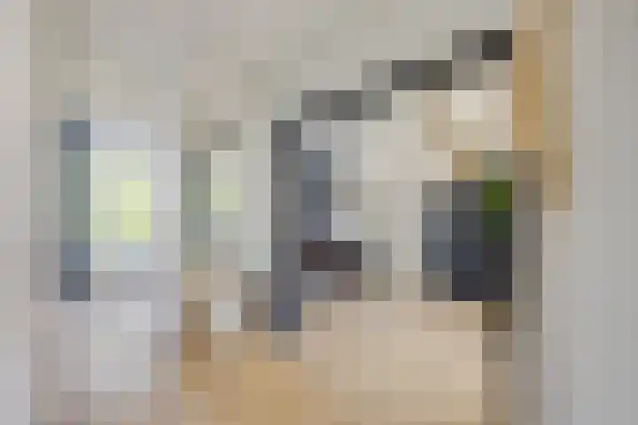 Johan Wagenaarkade 19 BS Utrecht thumbnail 14