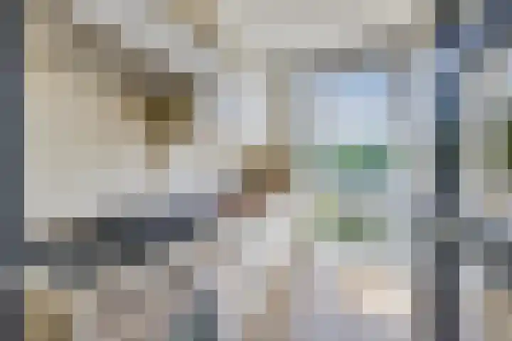 Johan Wagenaarkade 19 BS Utrecht thumbnail 21