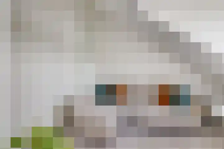 Johan Wagenaarkade 19 BS Utrecht thumbnail 27