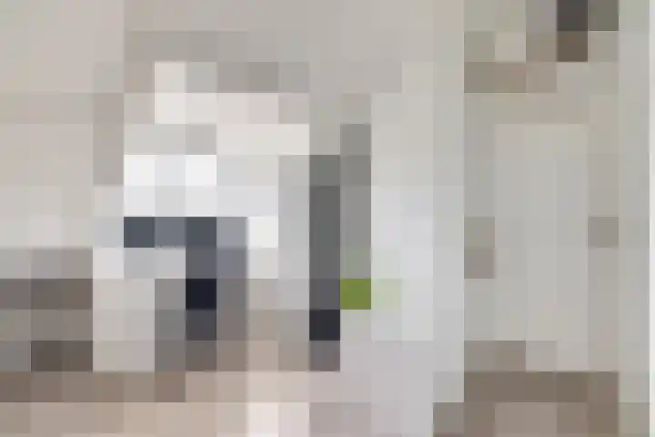 Johan Wagenaarkade 19 BS Utrecht thumbnail 28