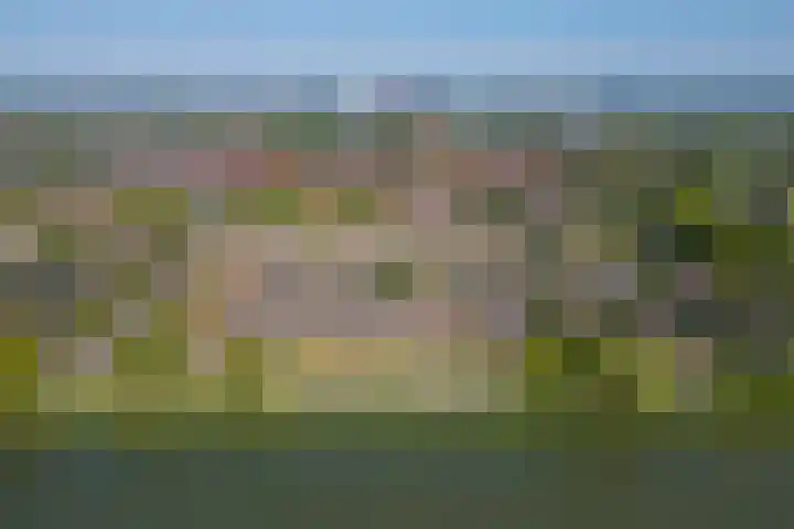 Johan Wagenaarkade 19 BS Utrecht thumbnail 32