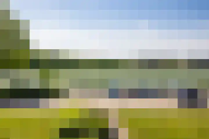 Johan Wagenaarkade 19 BS Utrecht thumbnail 9