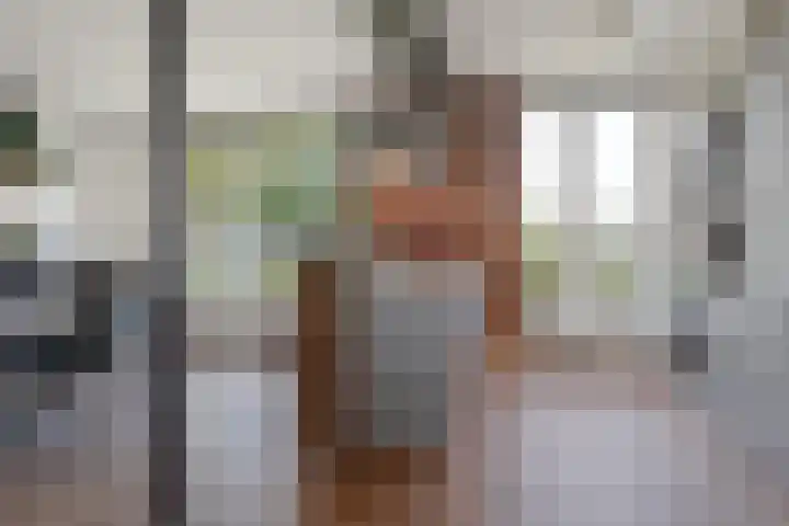 Johan Wagenaarkade 19 Utrecht thumbnail 11