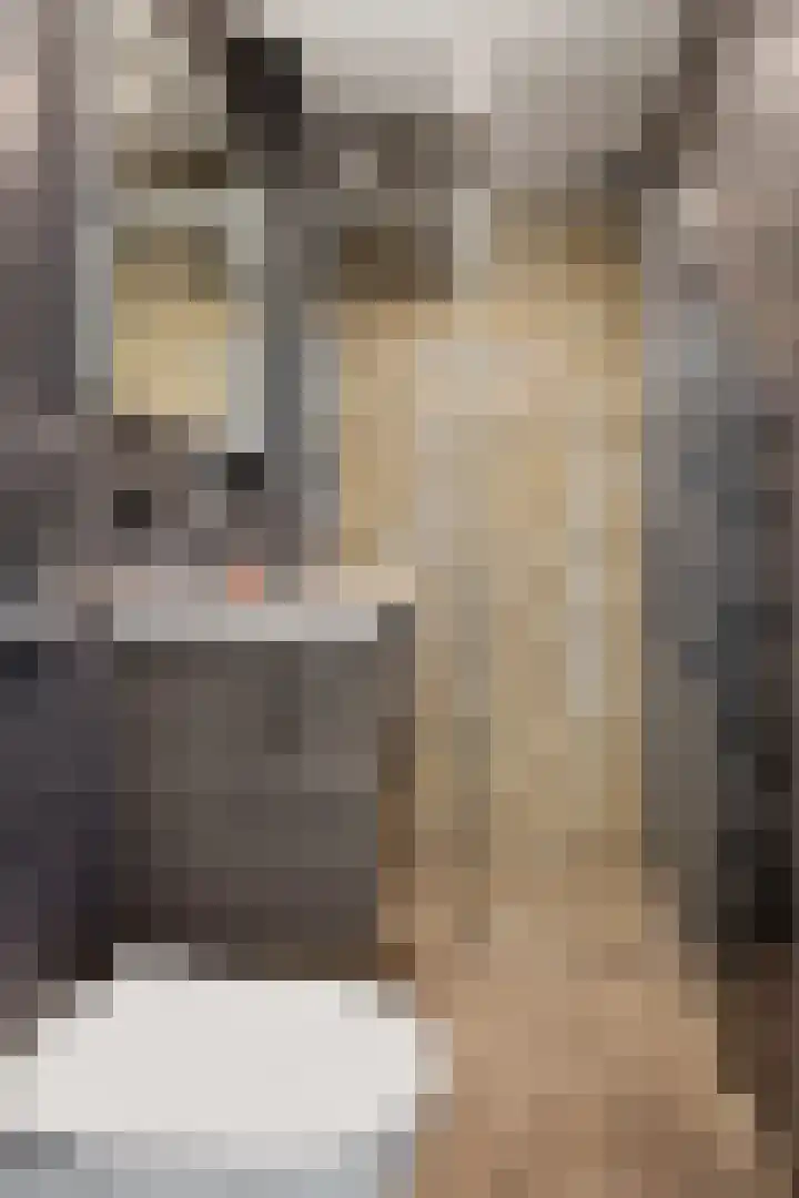 Johan Wagenaarkade 19 Utrecht thumbnail 17