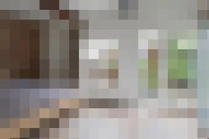 Johan Wagenaarkade 19 Utrecht thumbnail 20