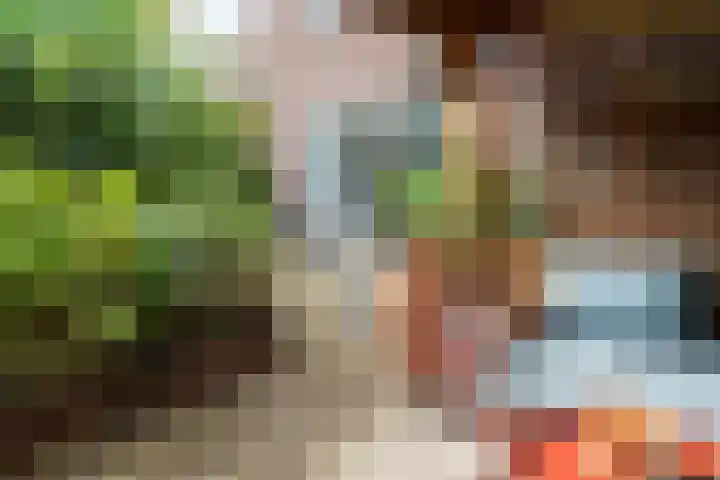 Johan Wagenaarkade 19 Utrecht thumbnail 25