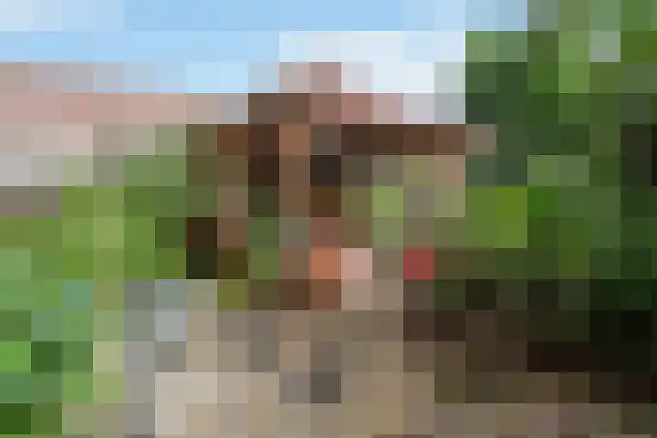 Johan Wagenaarkade 19 Utrecht thumbnail 26