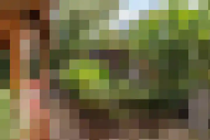 Johan Wagenaarkade 19 Utrecht thumbnail 27