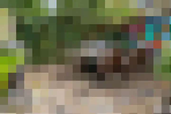 Johan Wagenaarkade 19 Utrecht thumbnail 28