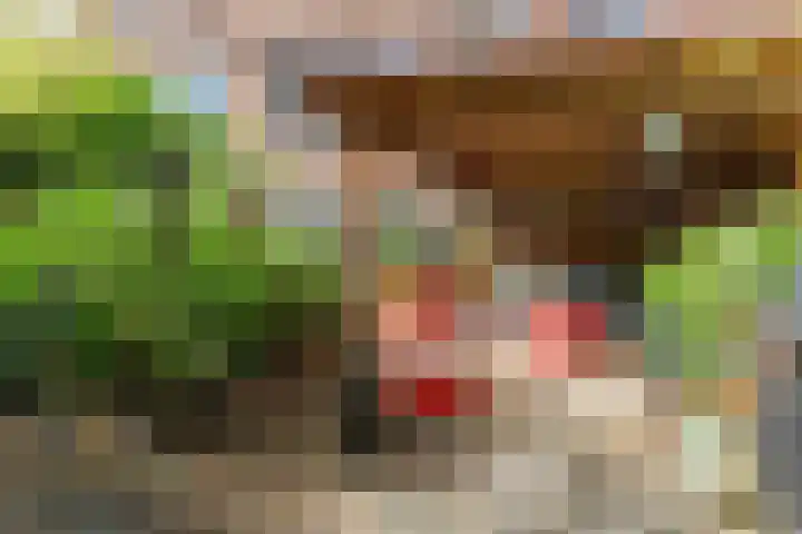 Johan Wagenaarkade 19 Utrecht thumbnail 29