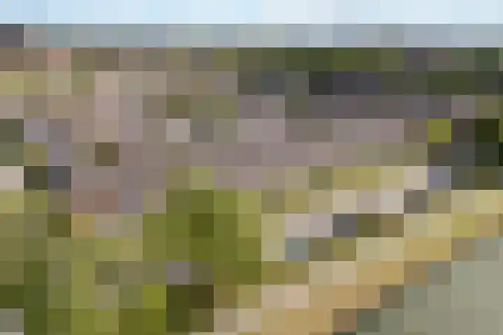 Johan Wagenaarkade 19 Utrecht thumbnail 34