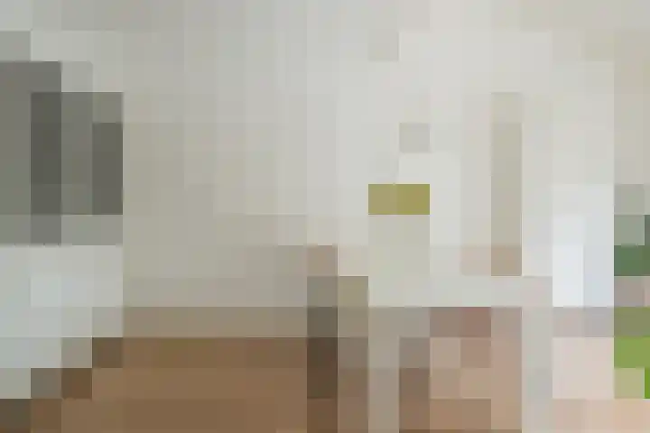 Johan Wagenaarkade 2 Alkmaar thumbnail 10