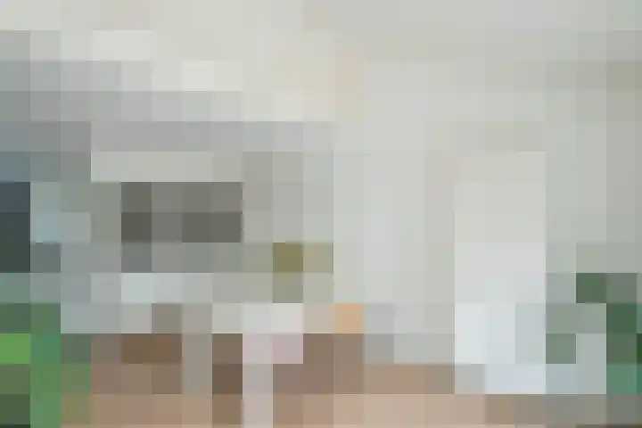 Johan Wagenaarkade 2 Alkmaar thumbnail 11