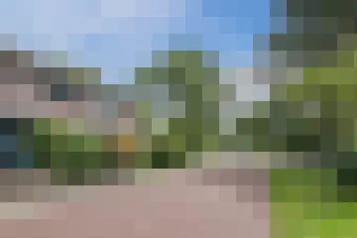 Johan Wagenaarkade 2 Alkmaar thumbnail 28