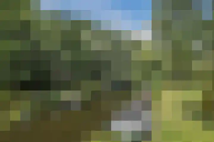 Johan Wagenaarkade 2 Alkmaar thumbnail 4