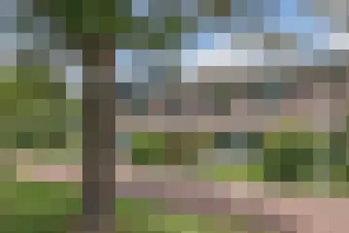 Johan Wagenaarkade 2 Alkmaar thumbnail 5