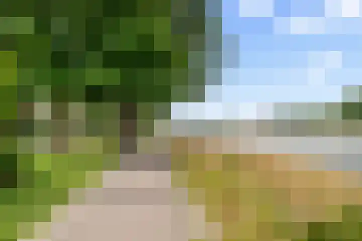 Johan Wagenaarkade 23 BS Utrecht thumbnail 31