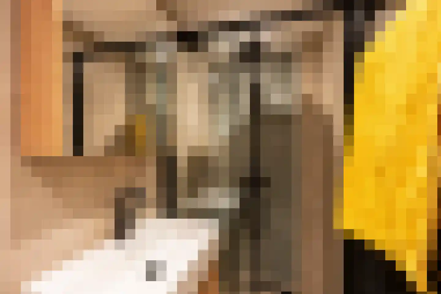 Johan Wagenaarkade 29 BS Utrecht thumbnail 28