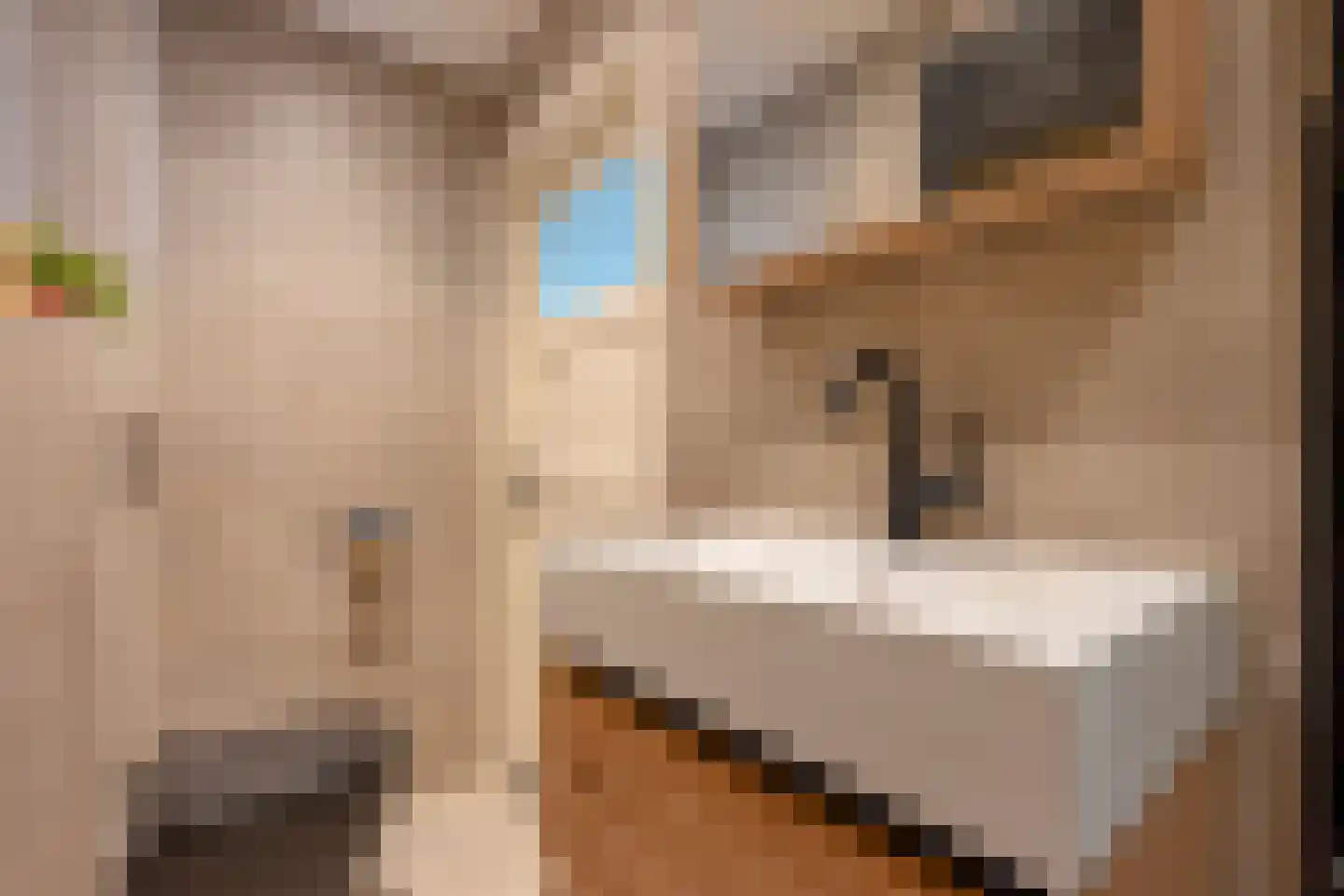 Johan Wagenaarkade 29 BS Utrecht thumbnail 30