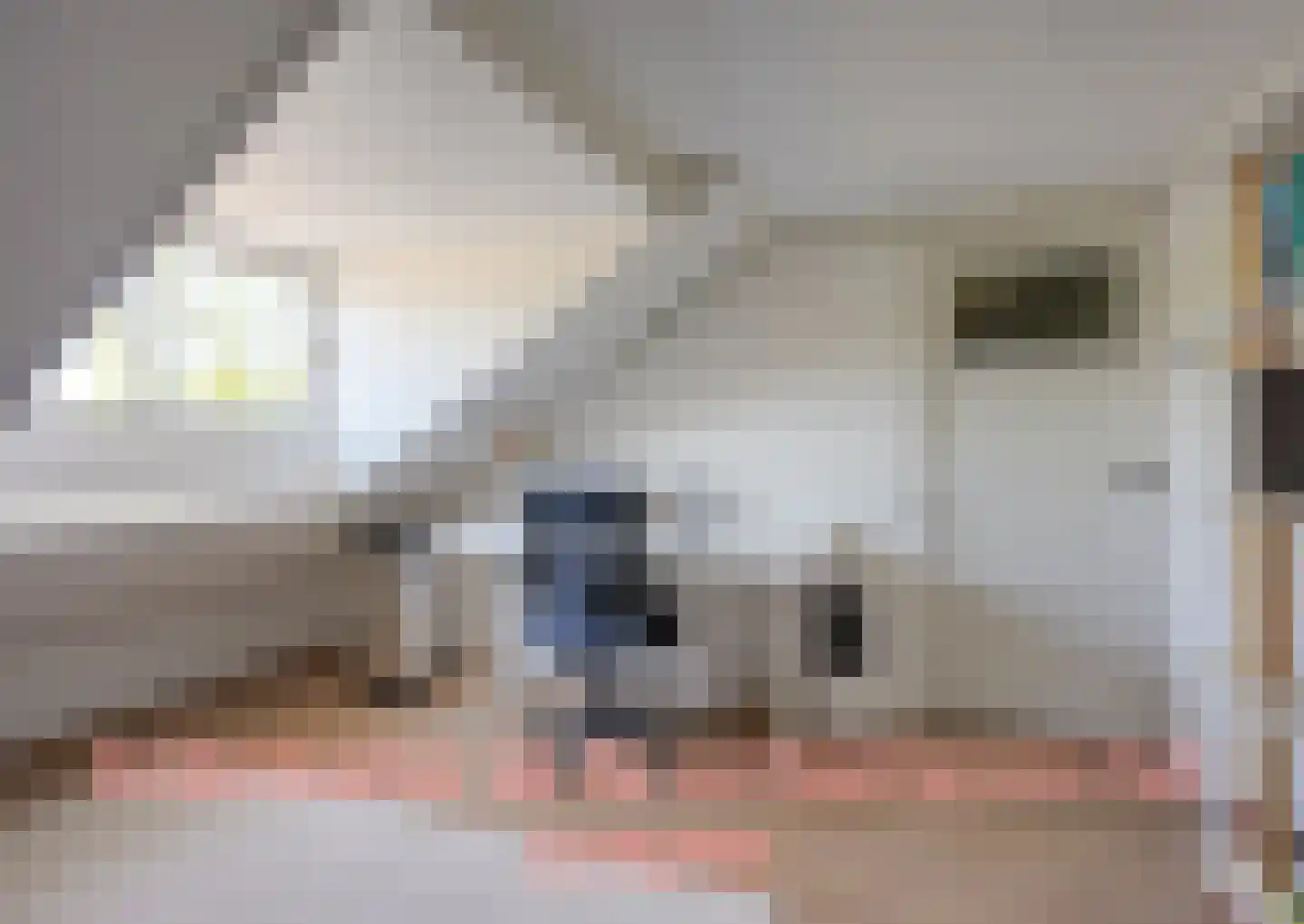 Johan Wagenaarkade 29 BS Utrecht thumbnail 32