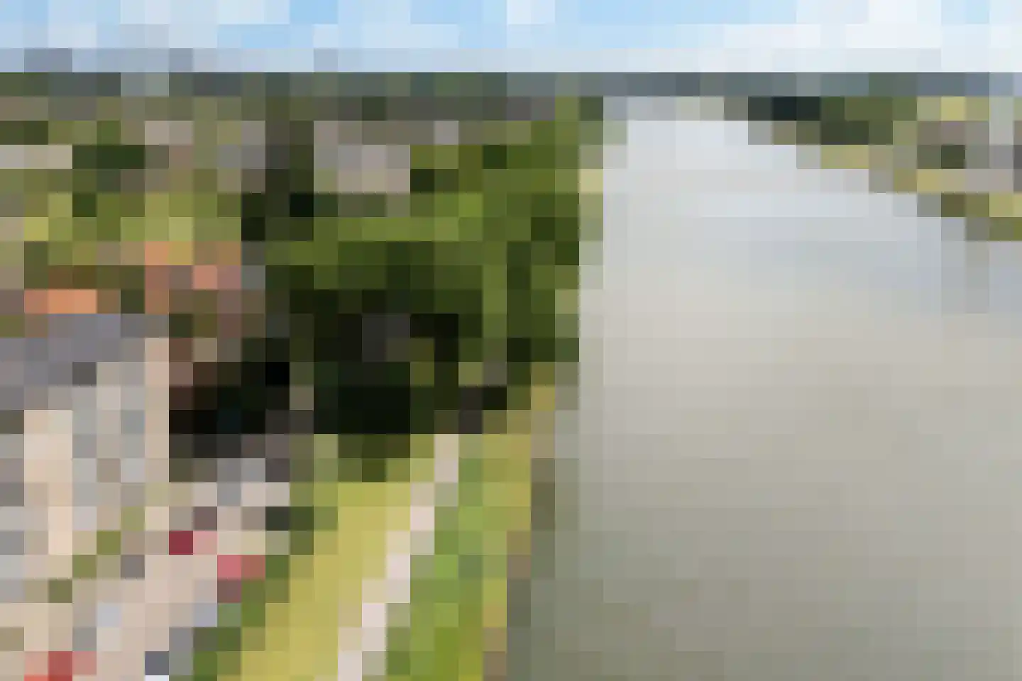 Johan Wagenaarkade 67 3 Utrecht thumbnail 39