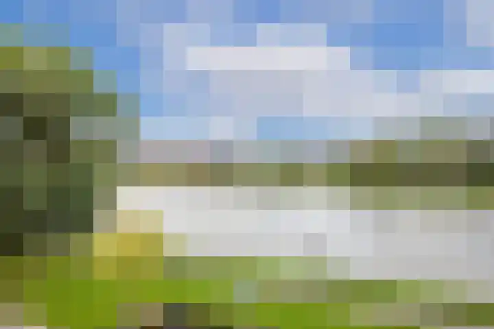 Johan Wagenaarkade 69 2 Utrecht thumbnail 19