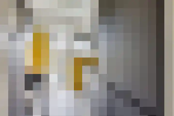 Johan Wagenaarkade 69 2 Utrecht thumbnail 22