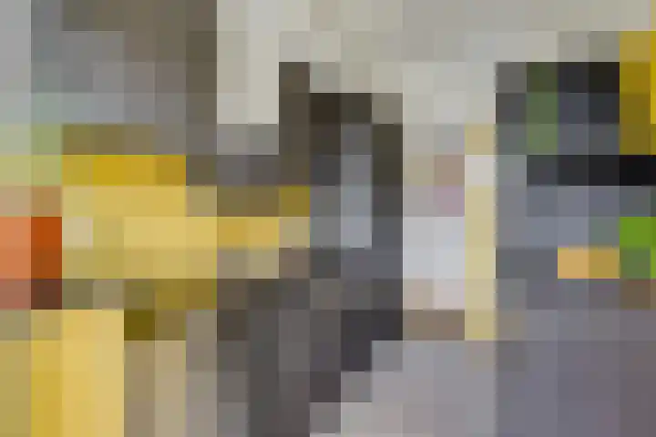Johan Wagenaarkade 69 2 Utrecht thumbnail 24