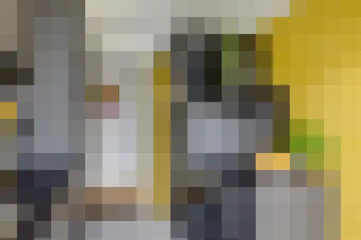 Johan Wagenaarkade 69 2 Utrecht thumbnail 25