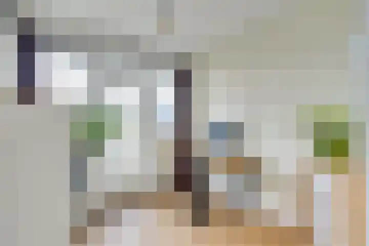 Johan Wagenaarkade 69 2 Utrecht thumbnail 33