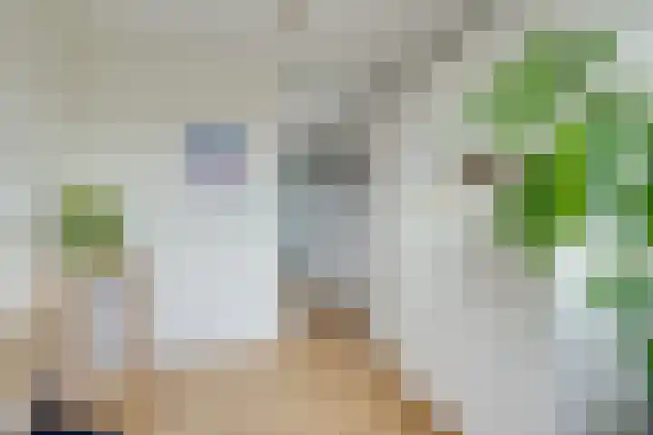 Johan Wagenaarkade 69 2 Utrecht thumbnail 34