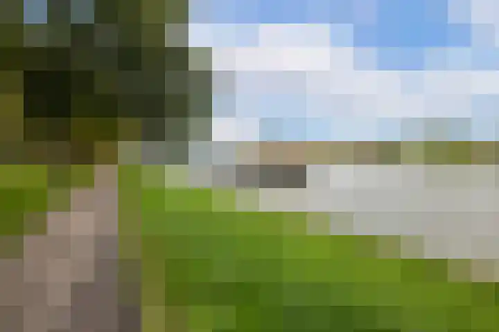 Johan Wagenaarkade 69 2 Utrecht thumbnail 48