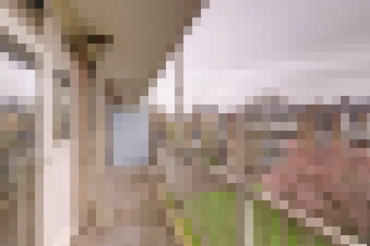 Johan Wagenaarkade 70 2 Utrecht thumbnail 19