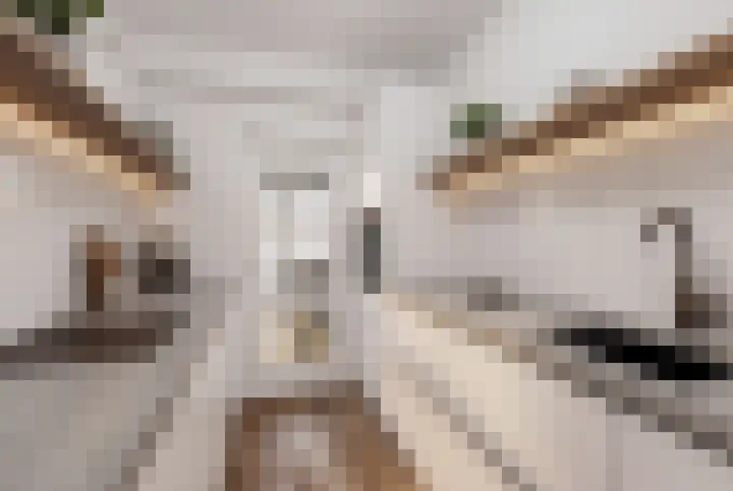 Johan Wagenaarkade 70 2 Utrecht thumbnail 23