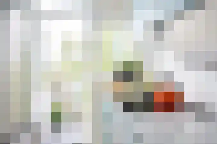 Johan Wagenaarkade 75 3 Utrecht thumbnail 12