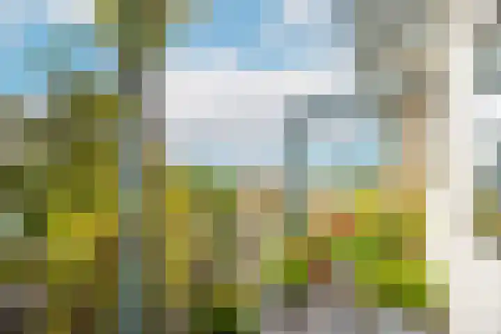 Johan Wagenaarkade 75 3 Utrecht thumbnail 13