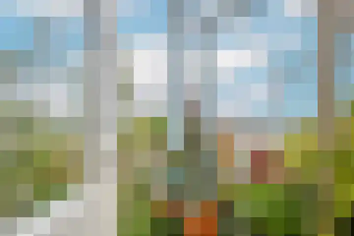 Johan Wagenaarkade 75 3 Utrecht thumbnail 14