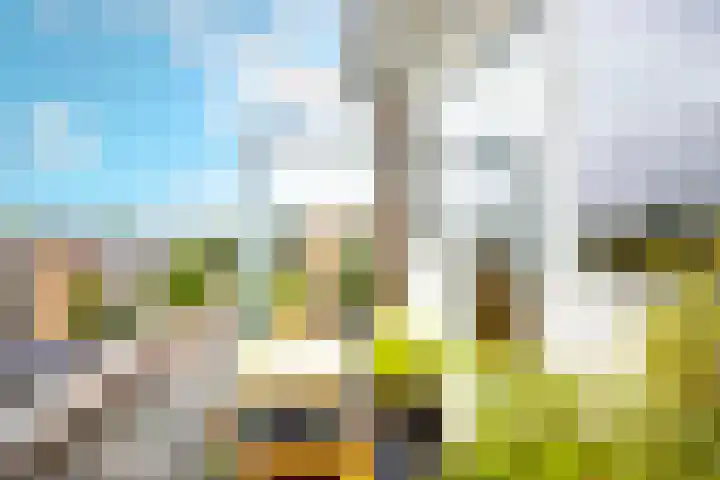 Johan Wagenaarkade 75 3 Utrecht thumbnail 15