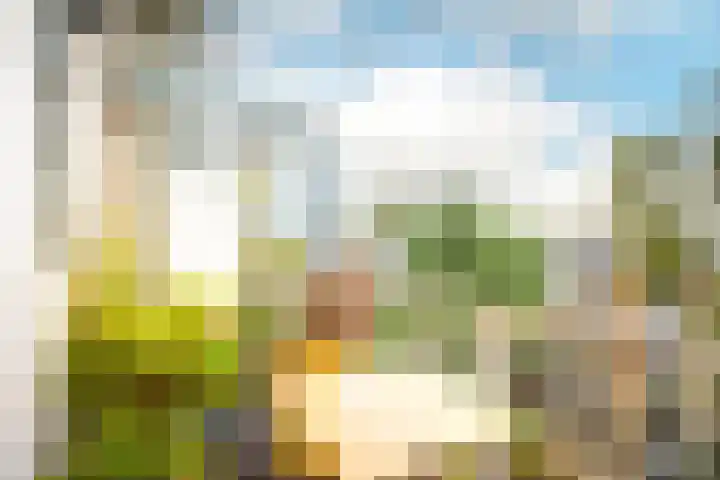 Johan Wagenaarkade 75 3 Utrecht thumbnail 17