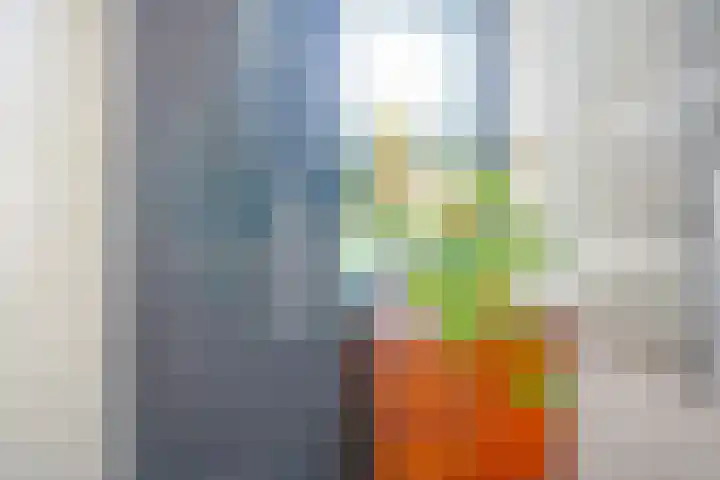 Johan Wagenaarkade 75 3 Utrecht thumbnail 33