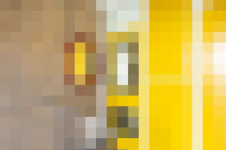 Johan Wagenaarkade 75 3 Utrecht thumbnail 39